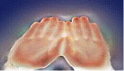 Palm Vein Technology