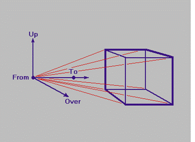 4D Viewing Vectors