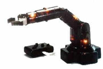 Humanoids Robotics