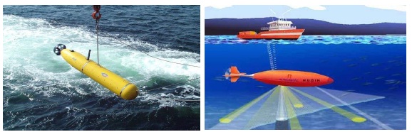 Autonomous Underwater Vehicles